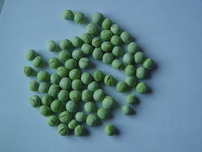 凍干豌豆 自然營(yíng)養(yǎng)的定格，北綠凍干食品有限公司為您呈現(xiàn)